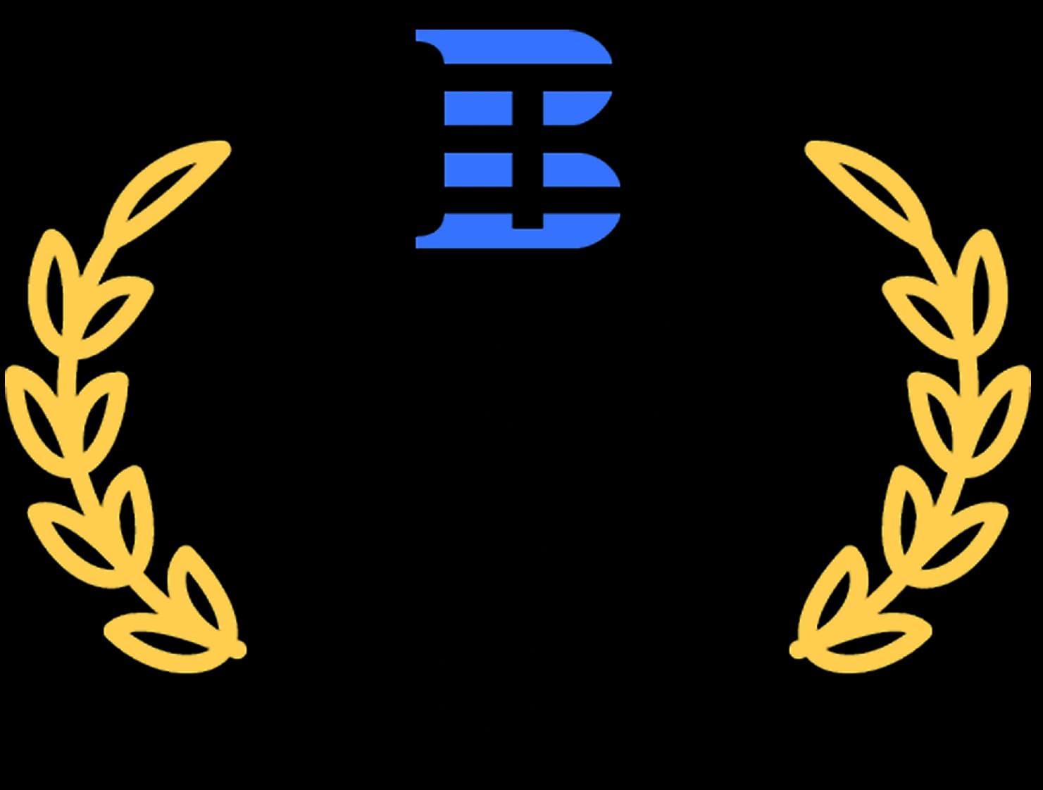 Top Custom Software Development Companies India 2022